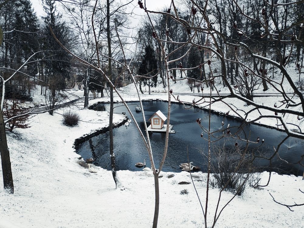 Фотография автора Toma Bervetsky