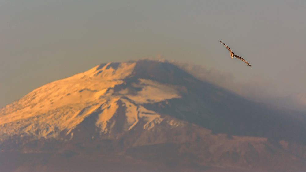 Photograph by Massimo Tamajo