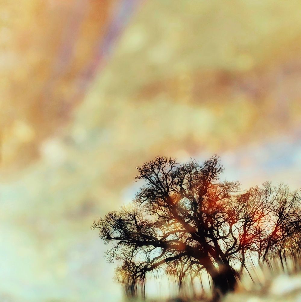 Фотография автора Toma Bervetsky