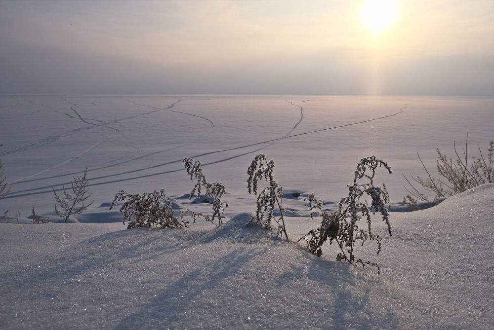 Photograph by Виктор Чернышов