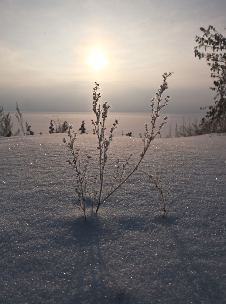 Photograph by Виктор Чернышов