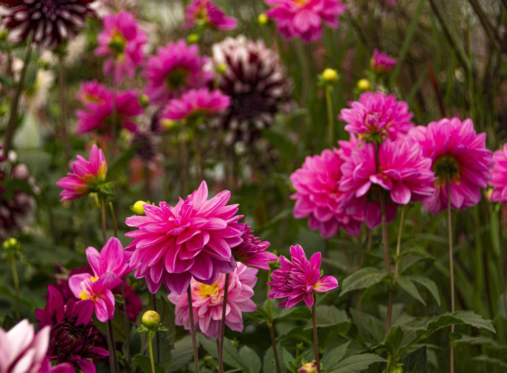 Photograph by maria angelica jaramillo