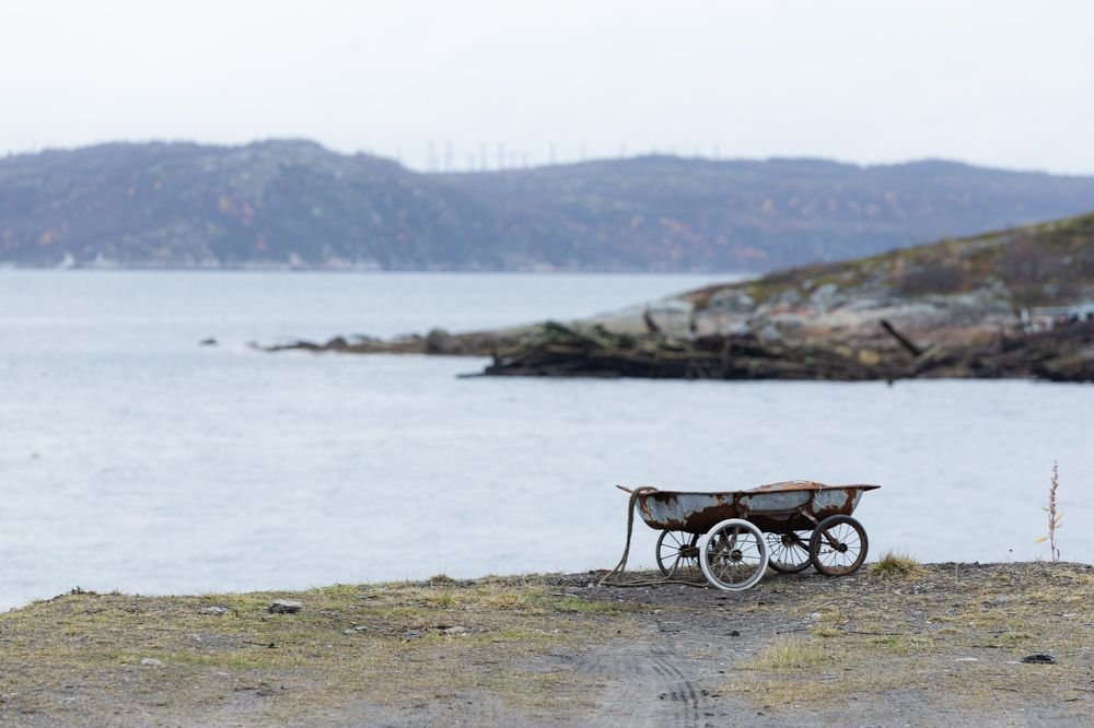 Photograph by Ирина Левакова