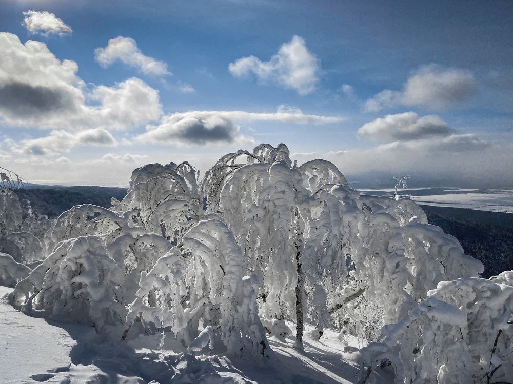 Фотография автора Маргарита Басова