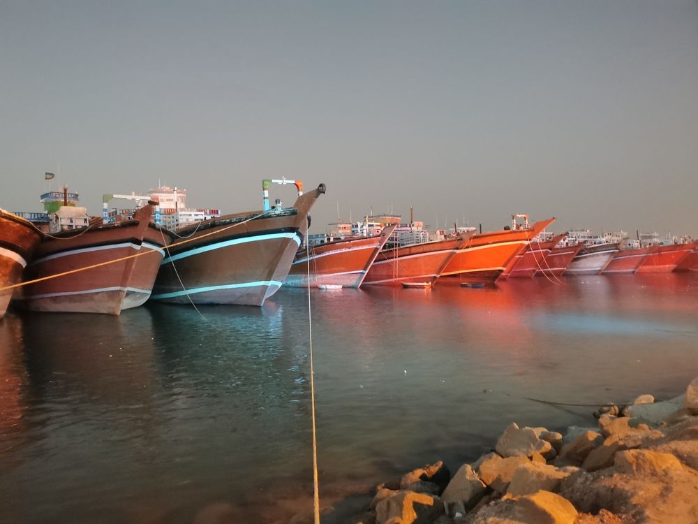 Photograph by majed dagha