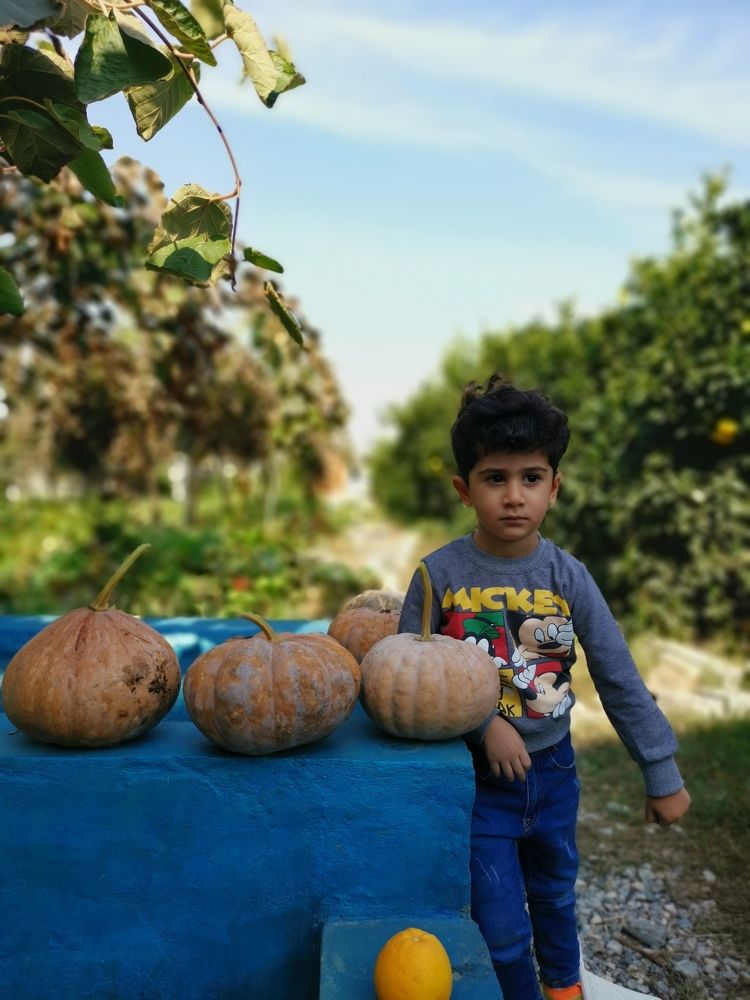 Photograph by majed dagha