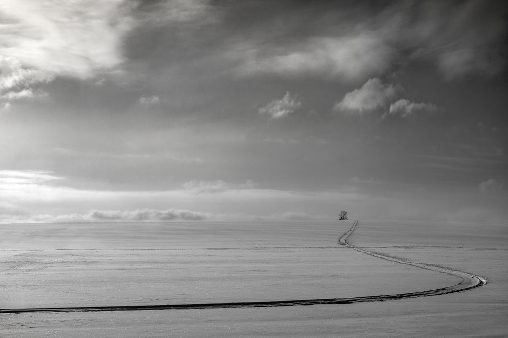 Photograph by Ирина Заколдаева