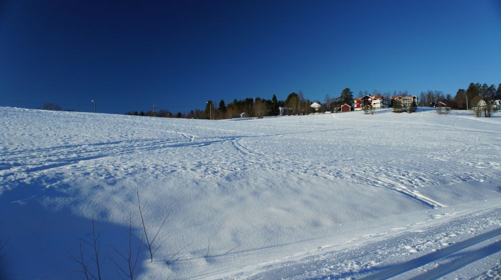 Фотография автора Theodoros Bampatsias