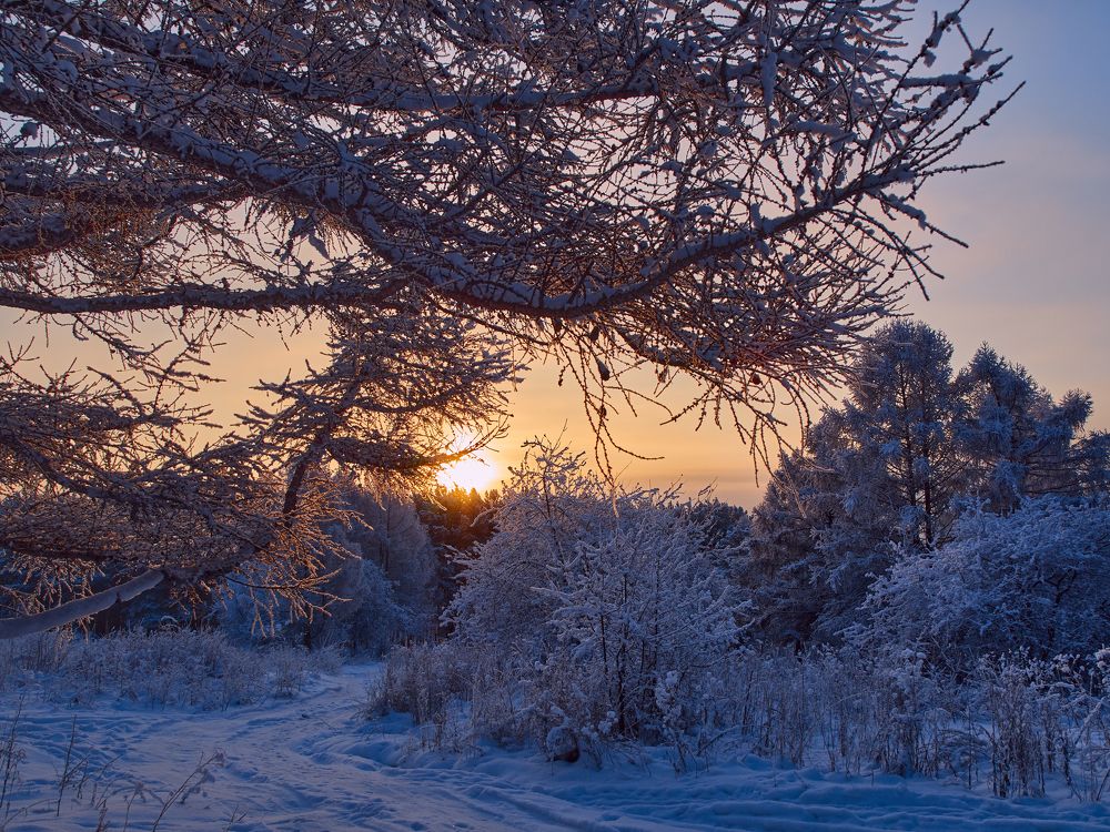 Фотография автора Георгий Муравьёв
