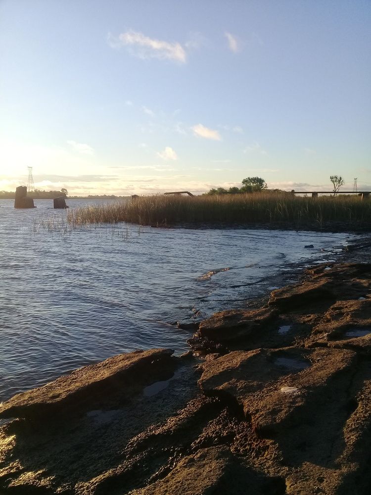 Photo #7172680