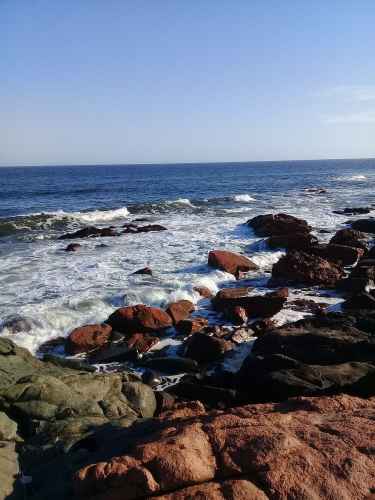 Photo #7172681
