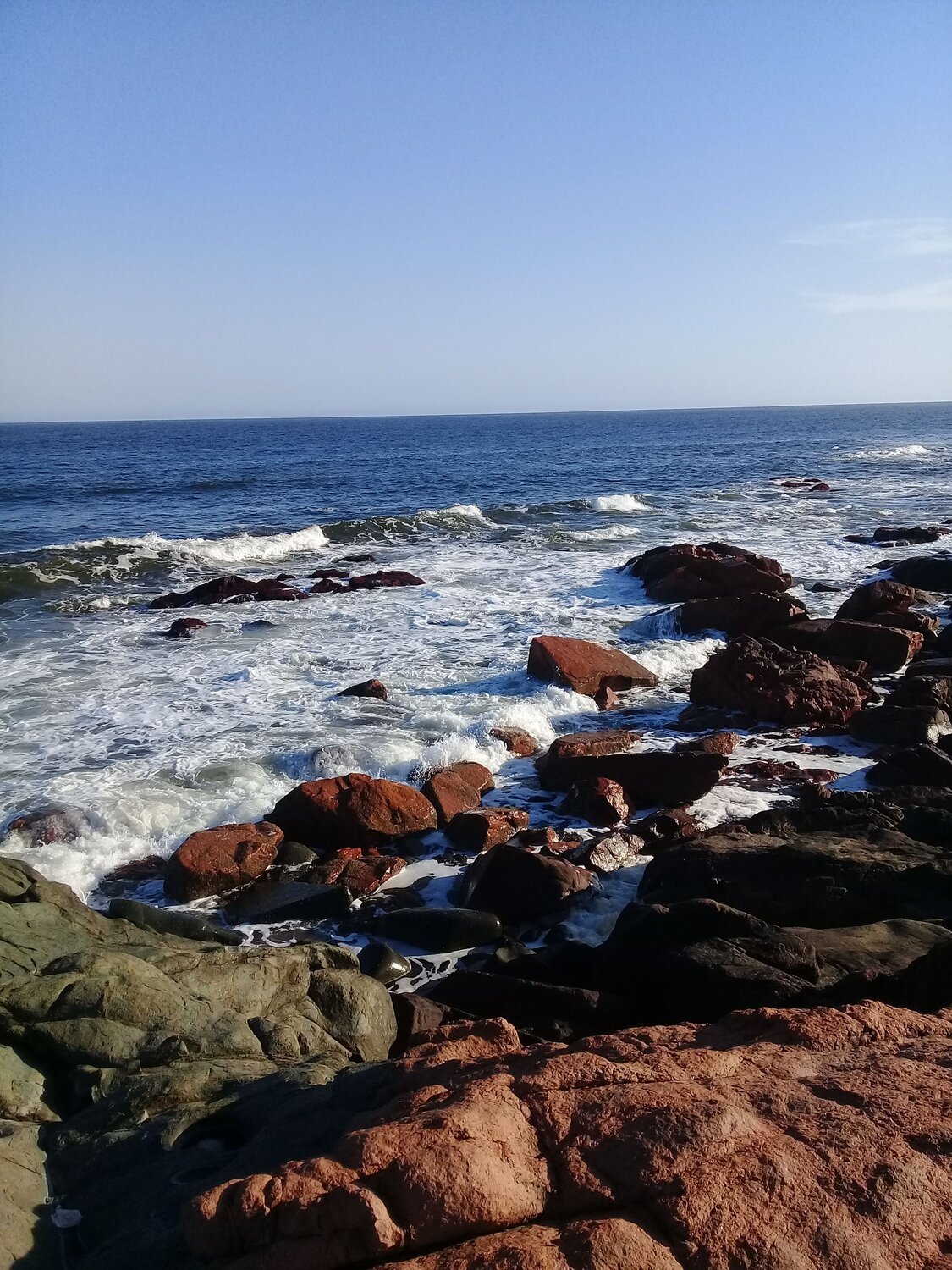 Photo #7172681