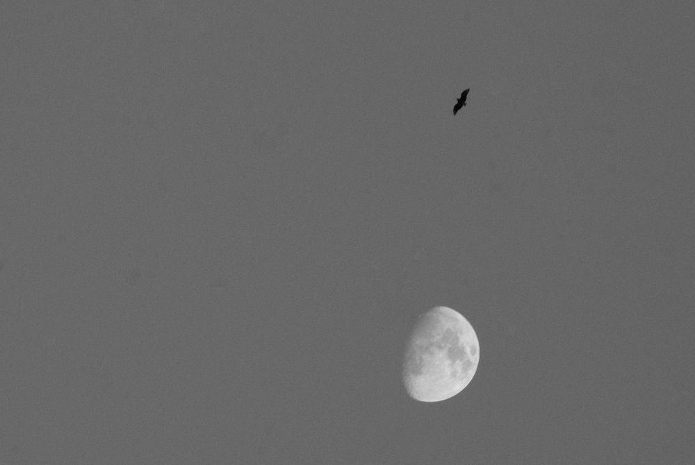 Photograph by Juan José Rodas