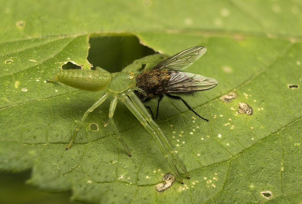 Photograph by Sergey Tsubanov
