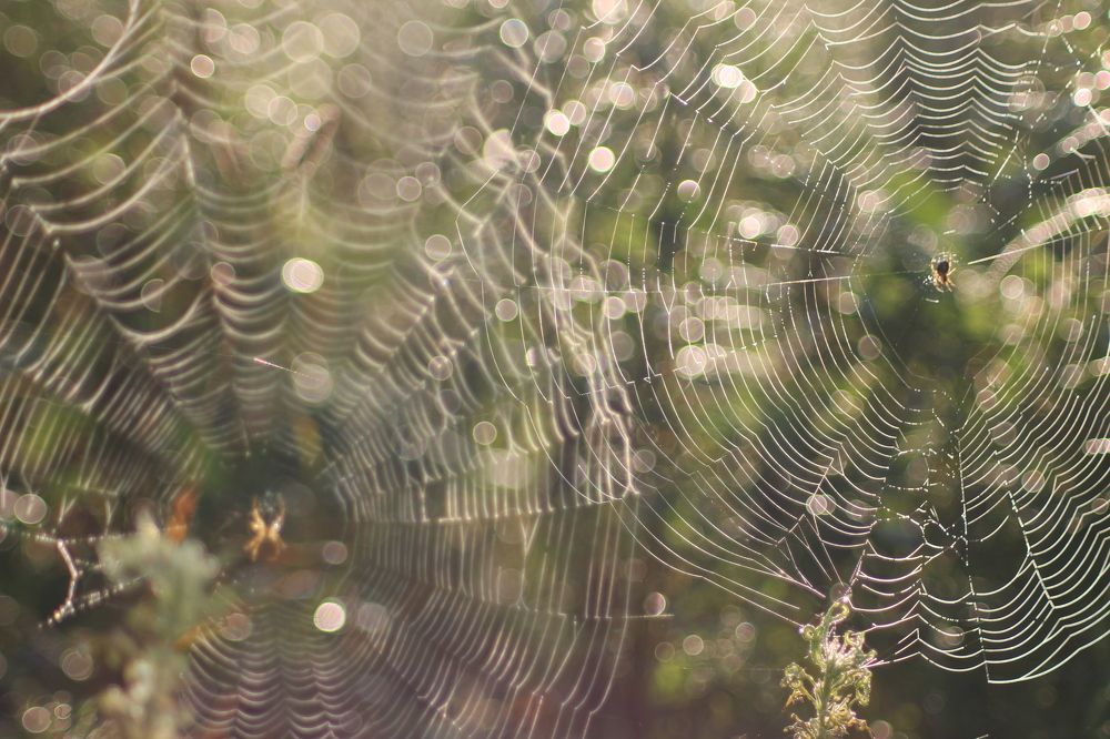 Photograph by Sergey Tsubanov