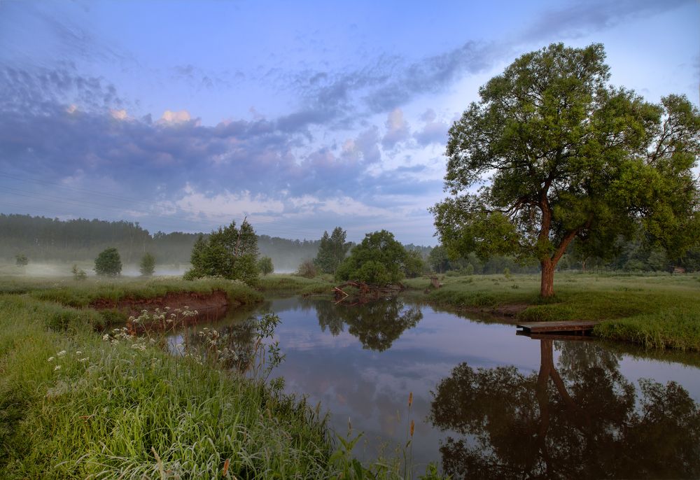 Photograph by Ирина Заколдаева