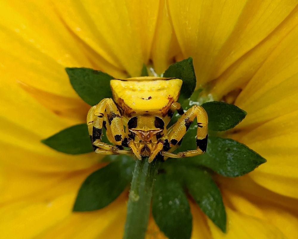 Photograph by Rajan Akshara