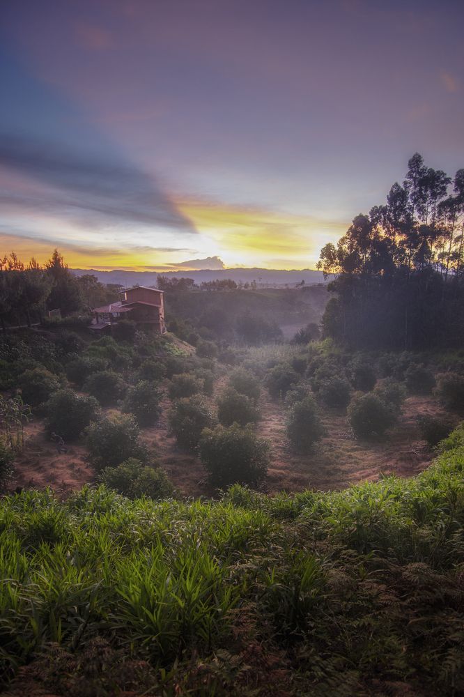 Photograph by Aarón Santiago Varela Velásquez
