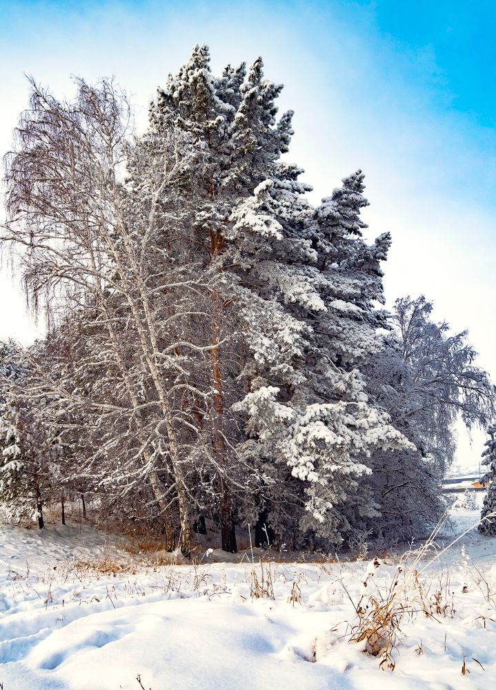 Photograph by Александр Горлов