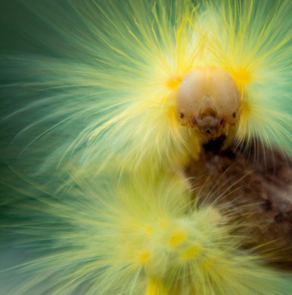 Photograph by Renz Adrian Ronda