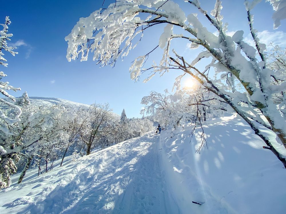 Фотография автора Маргарита Басова