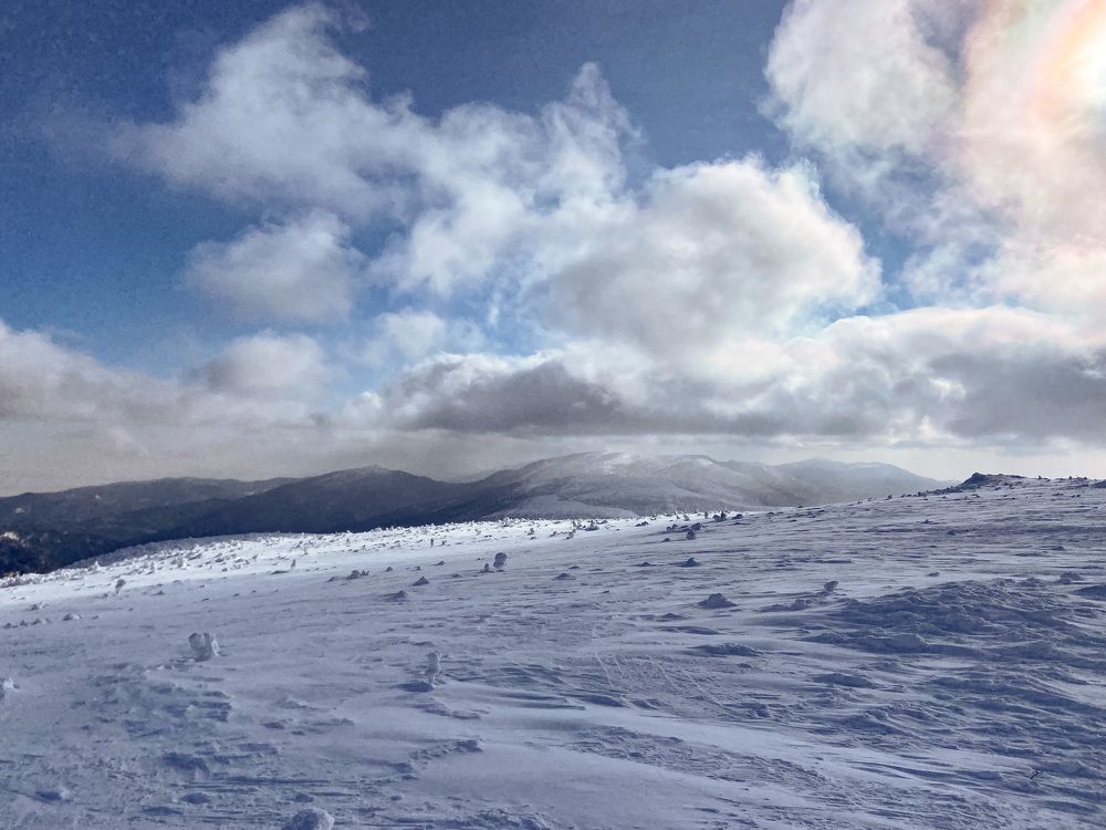 Фотография автора Маргарита Басова