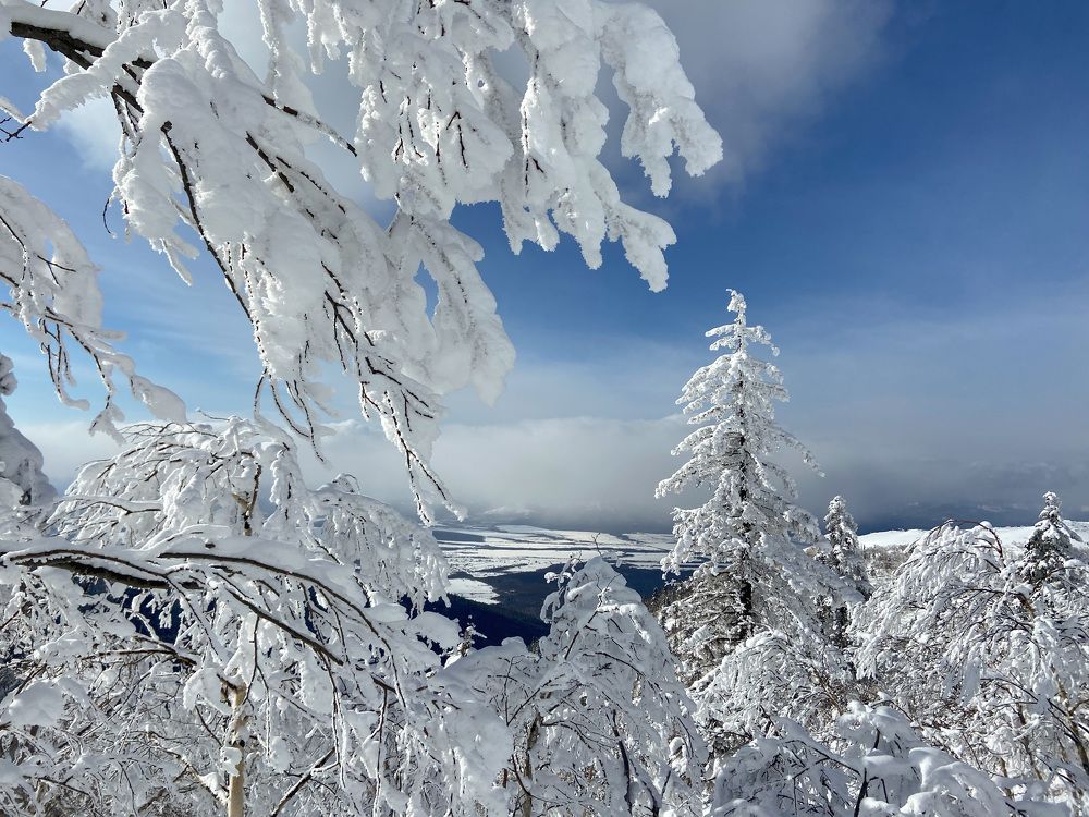 Фотография автора Маргарита Басова