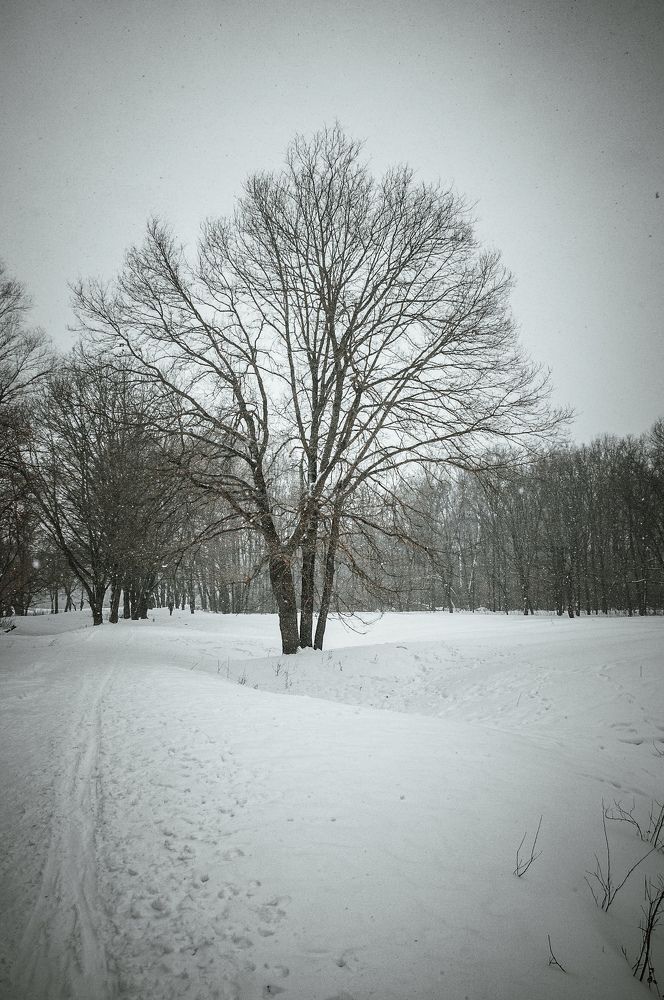 Photograph by Сергей Золотоверхий