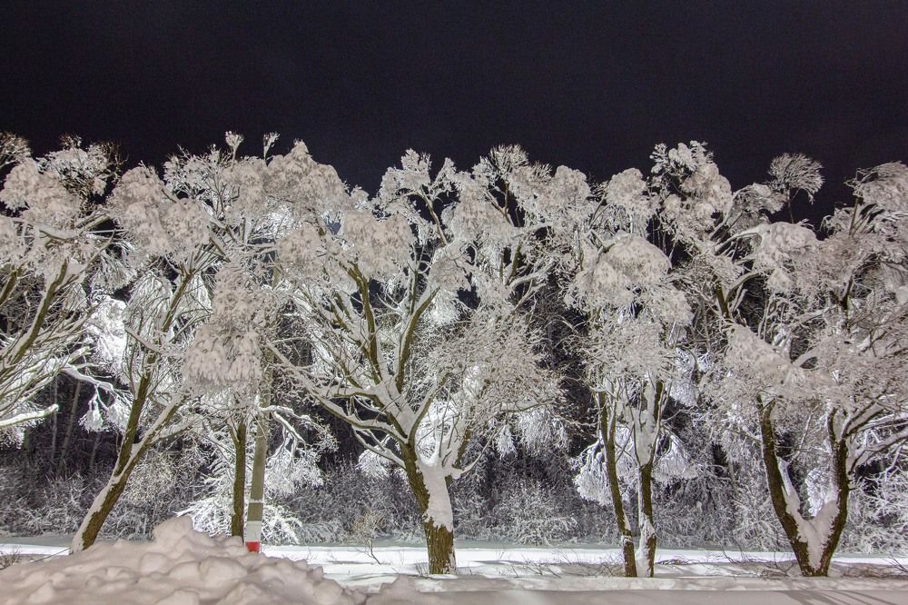 Photograph by Мария Мурзина