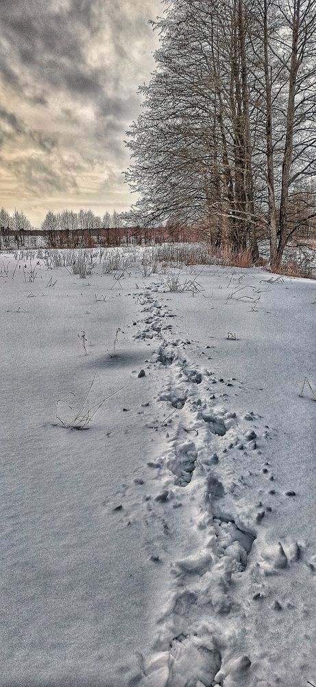 Photograph by Сергей Симаков