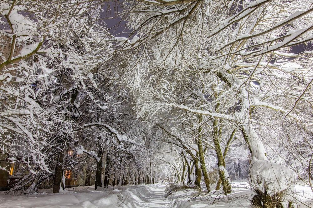 Photograph by Мария Мурзина