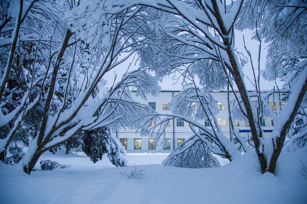 Снежная рапсодия