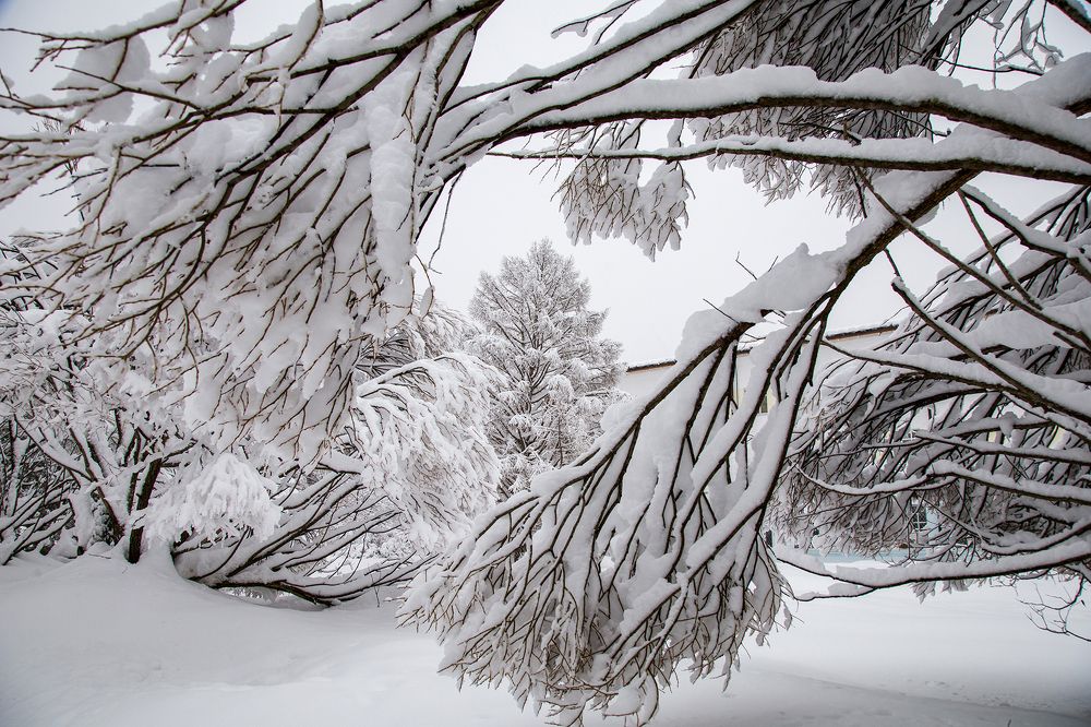 В снежном плену