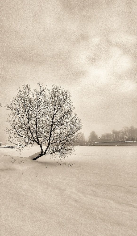 Настроение-февраль.