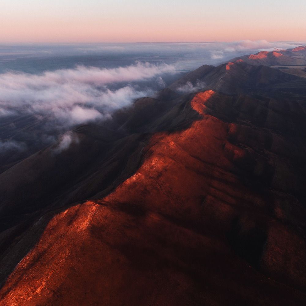 Красный дракон