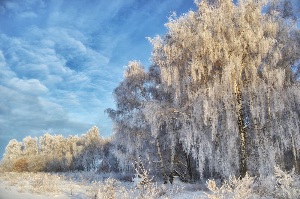 Photograph by Александр Кульгин