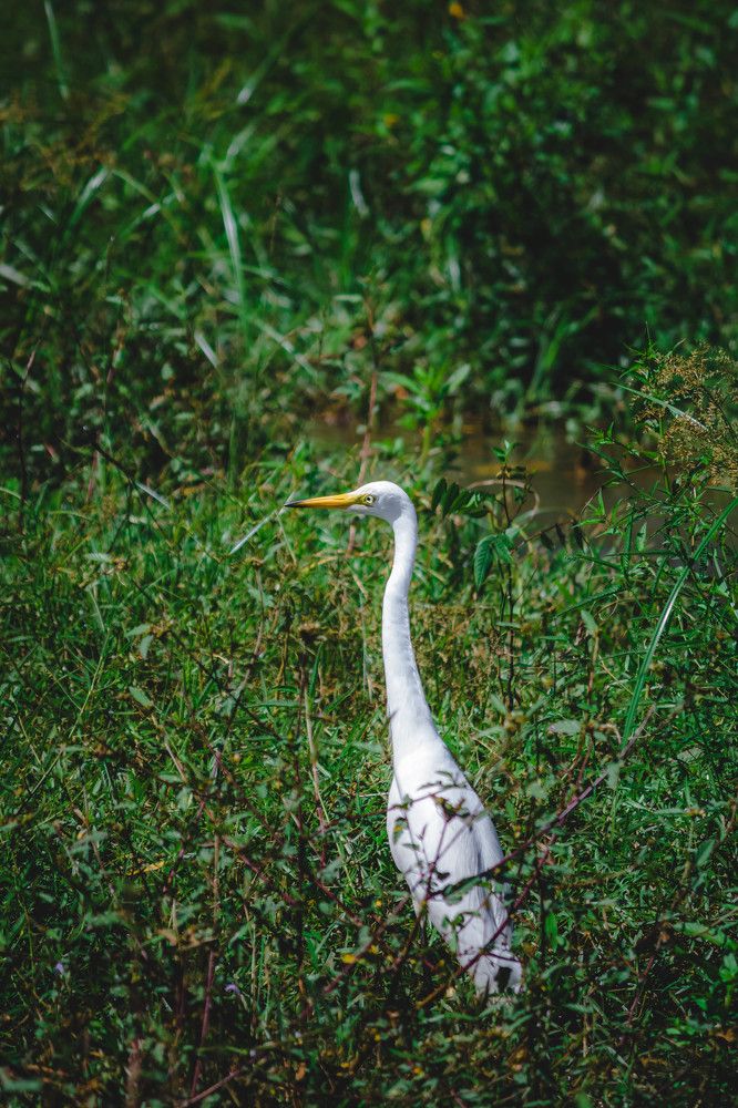 Photograph by Kisalka Rajapaksha