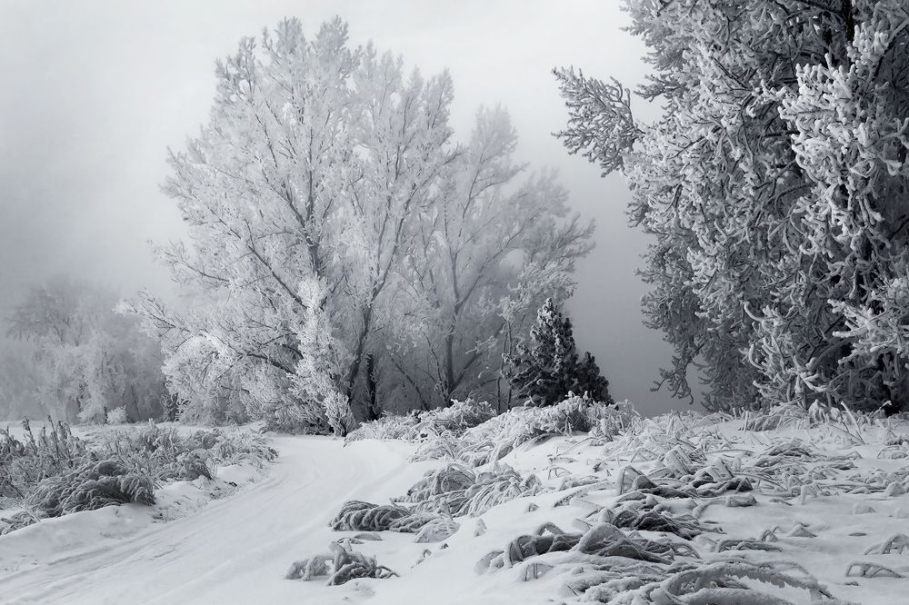 Photograph by Олег Тетерин