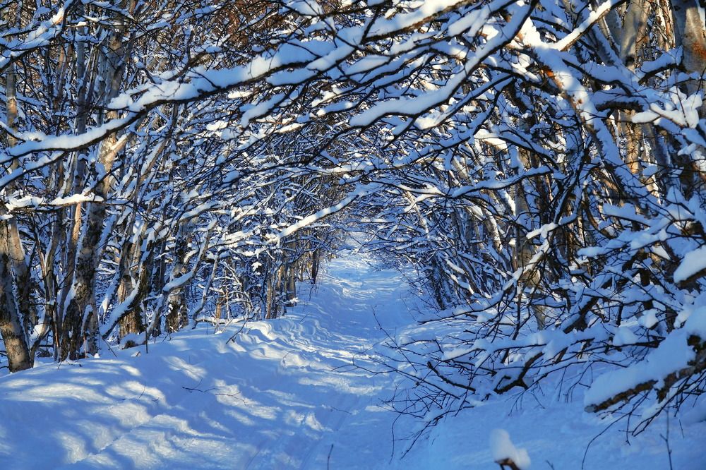 Photograph by Андрей