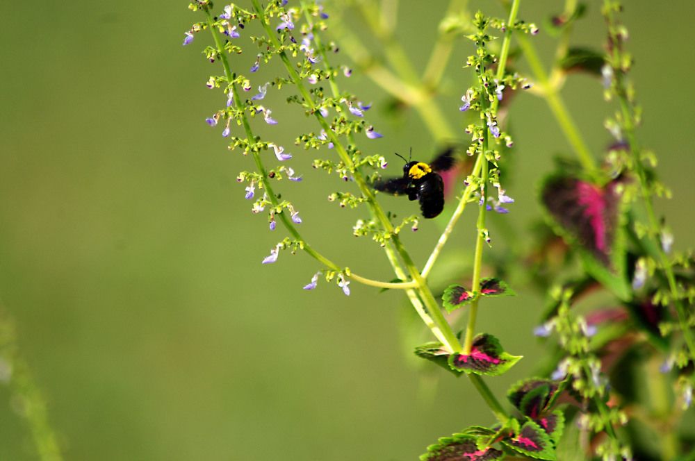 Photograph by Firly Febrian