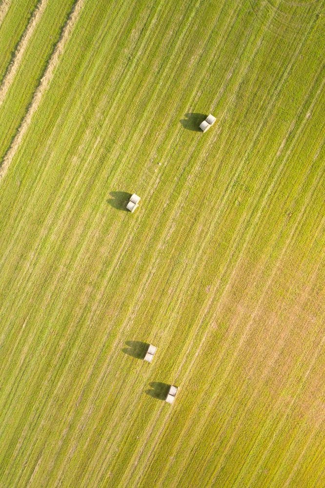 Photograph by Павел Токарев