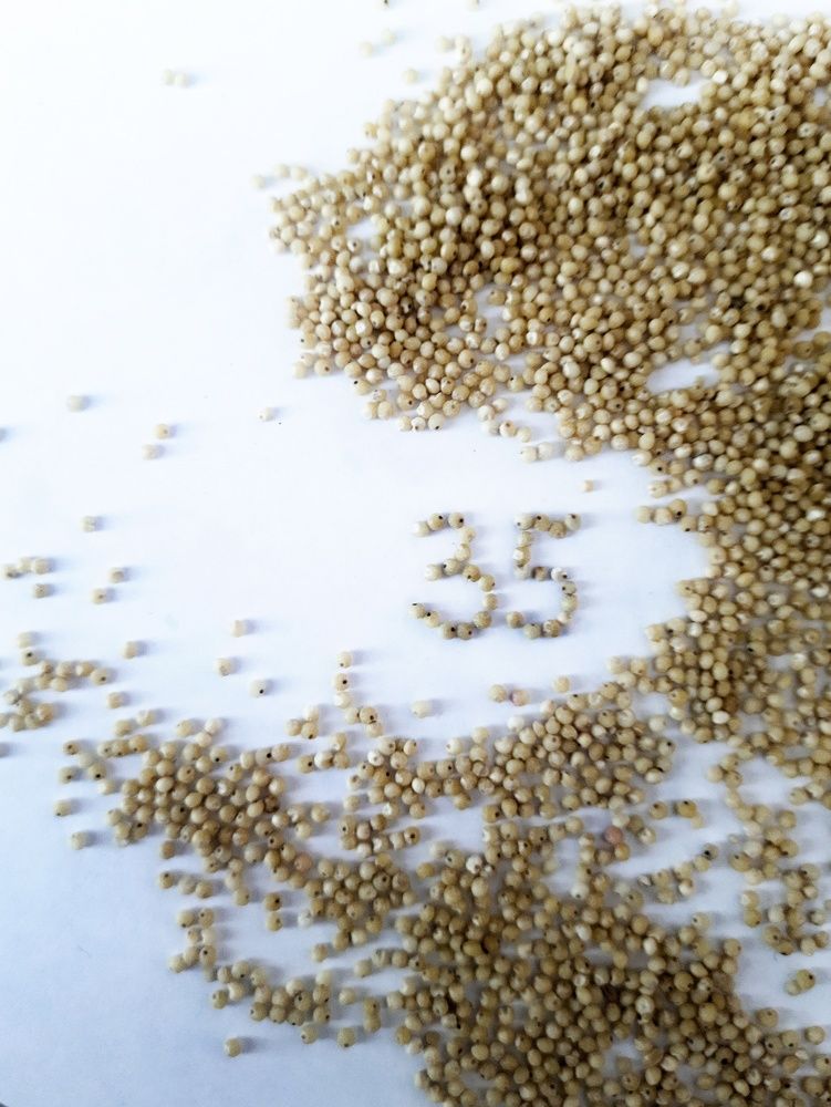 Photograph by Анастасия Дубинина