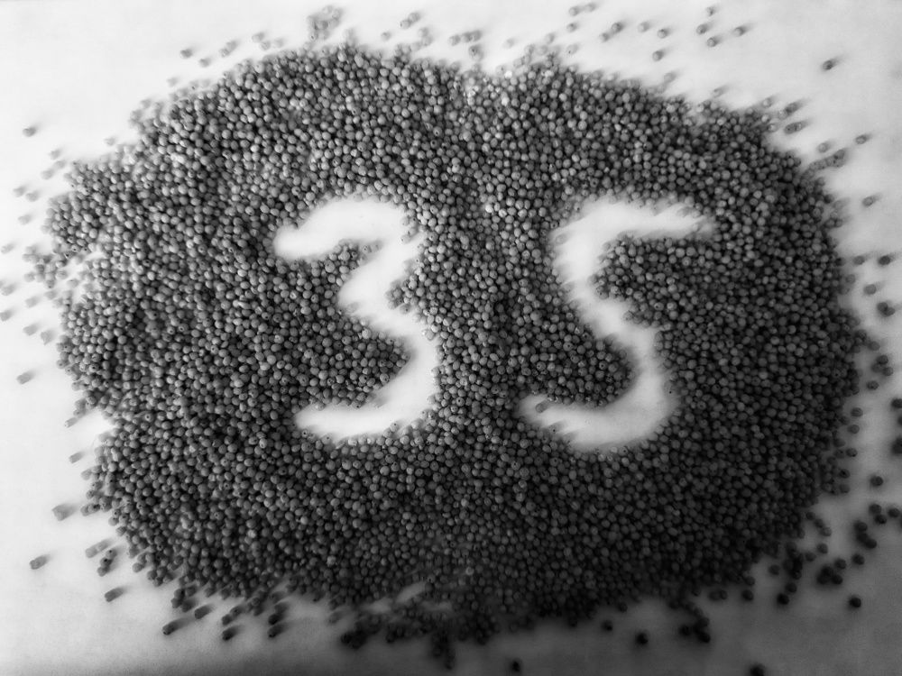 Photograph by Анастасия Дубинина