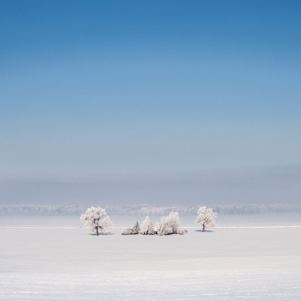 Фотография автора Aleksandras Guzauskas