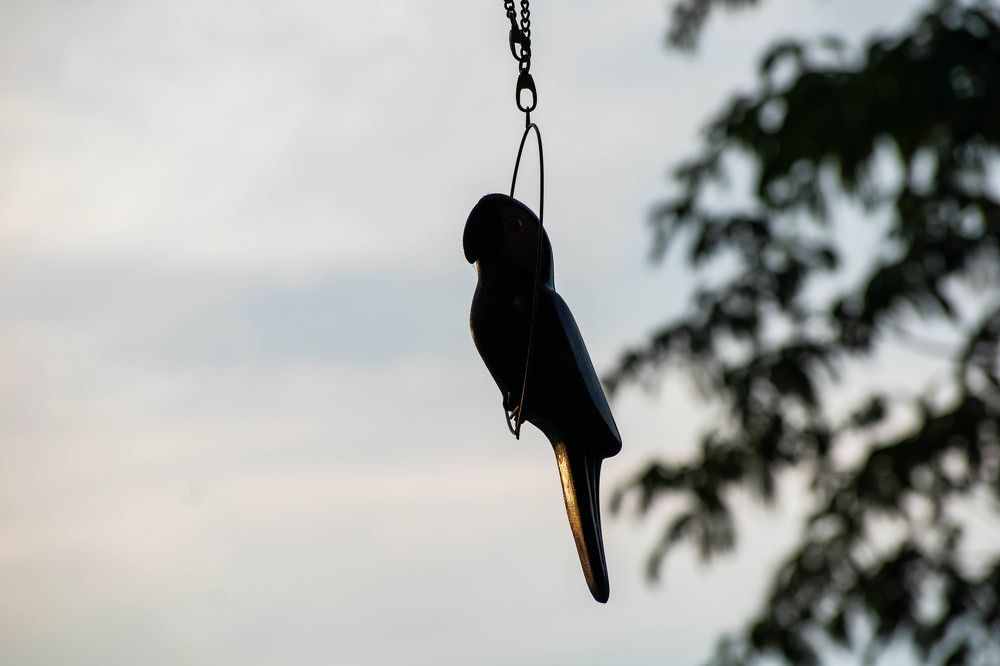 Photograph by Juan Carlos Pascual López