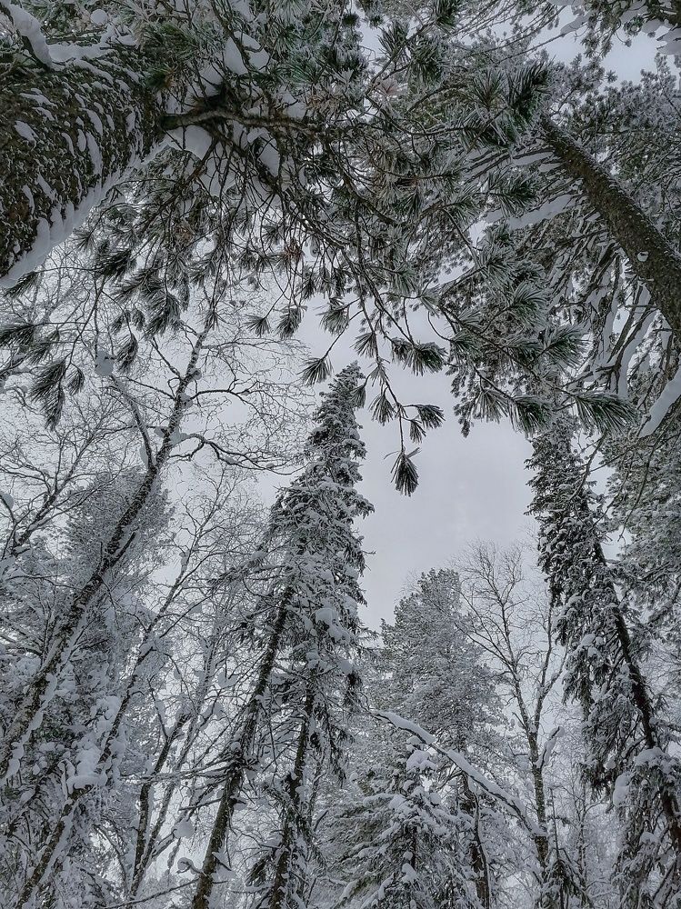 Photograph by Светлана Шелухеева