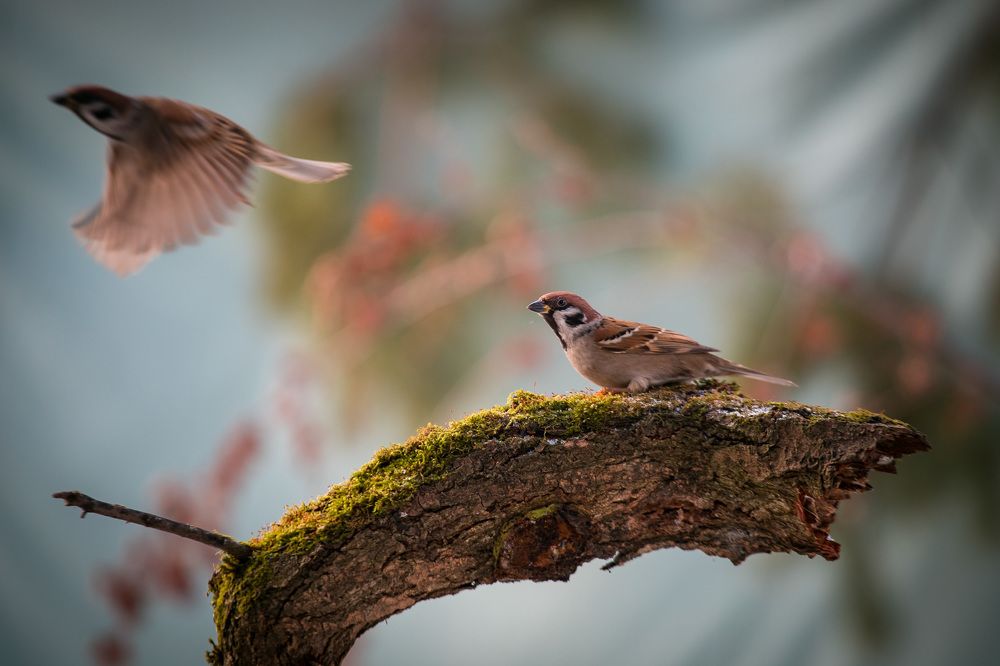 Photograph by Алексей Юденков