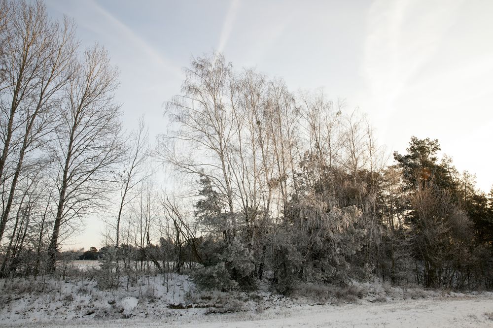 Photograph by Игорь Лейчонок