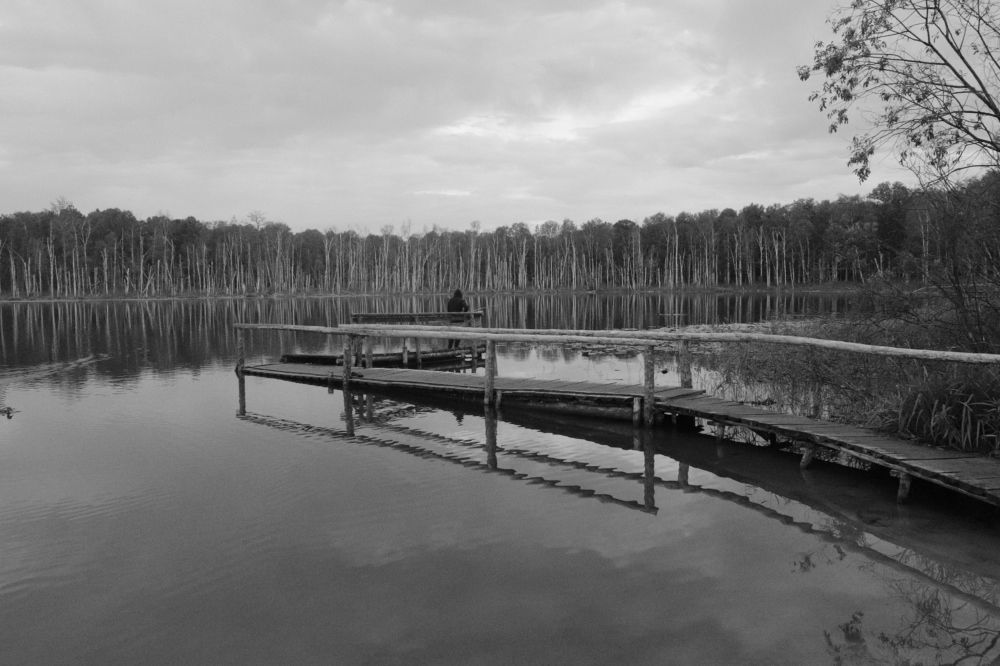 Озеро утром