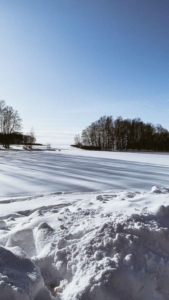 Photograph by Логинова Наталия